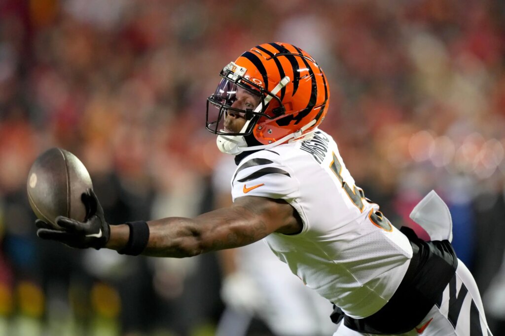 Tee Higgins