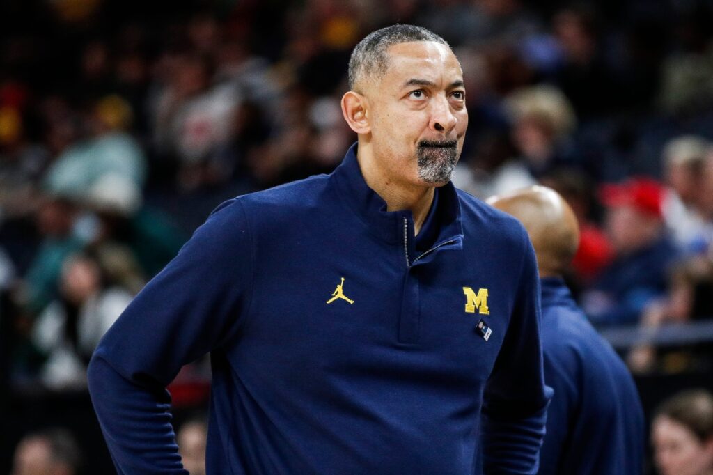 Juwan Howard, Michigan Wolverines, NBA