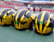 Michigan Wolverines
