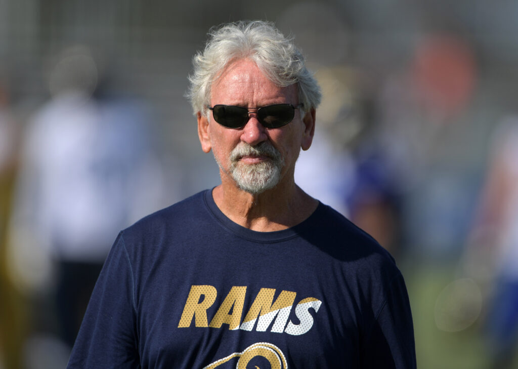 Dave McGinnis, NFL