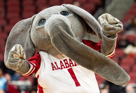 Alabama Crimson Tide