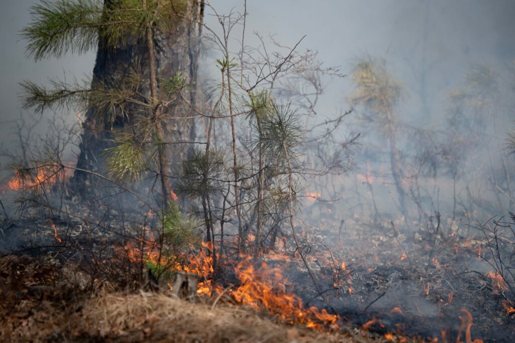 Fire, Weather