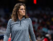 Stephanie White, Indiana Fever, WNBA