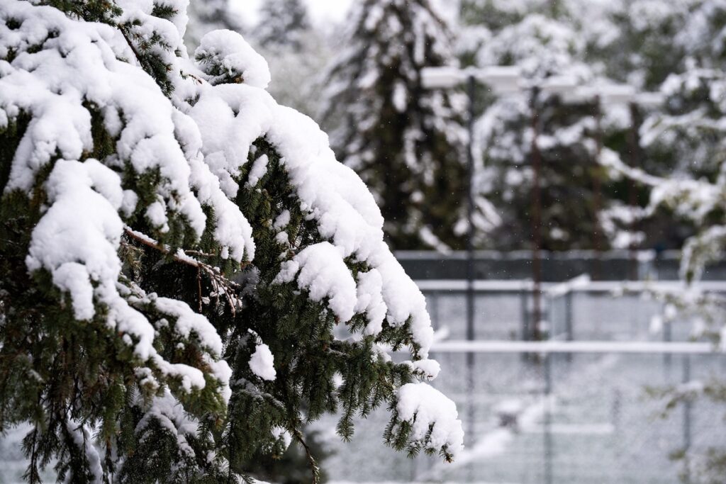 Snow