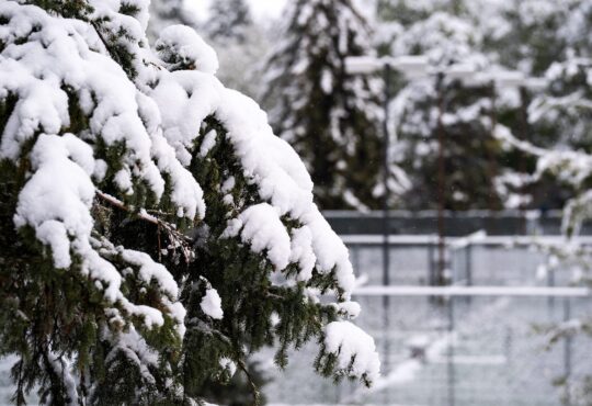 Snow