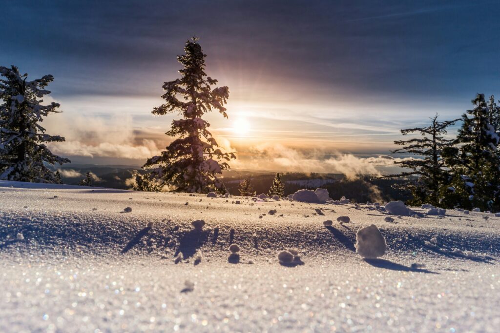 Snowstorm
