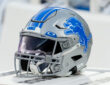Detroit Lions