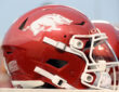 Arkansas Razorbacks