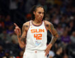 Brittney Griner, WNBA
