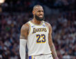 LeBron James, Minnesota Timberwolves