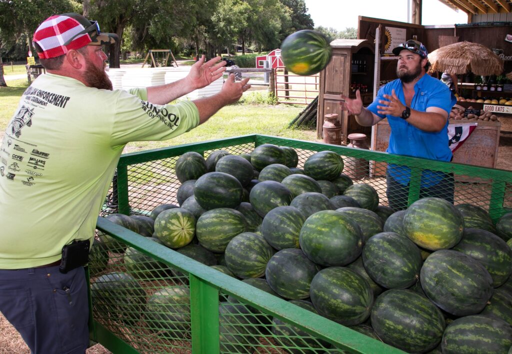 Weather, Watermelon