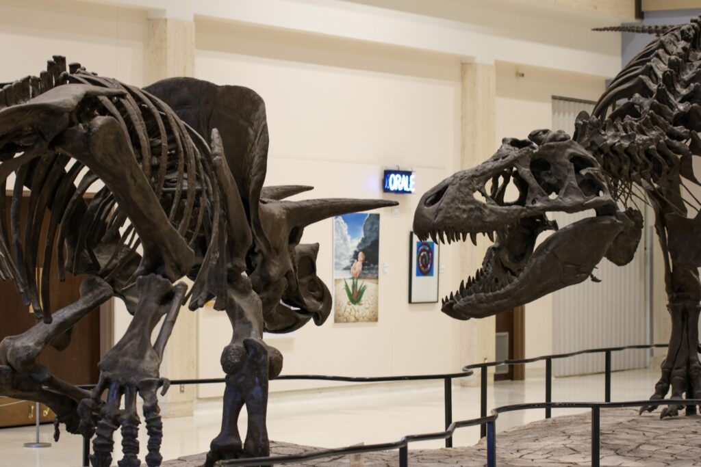 Dinosaur