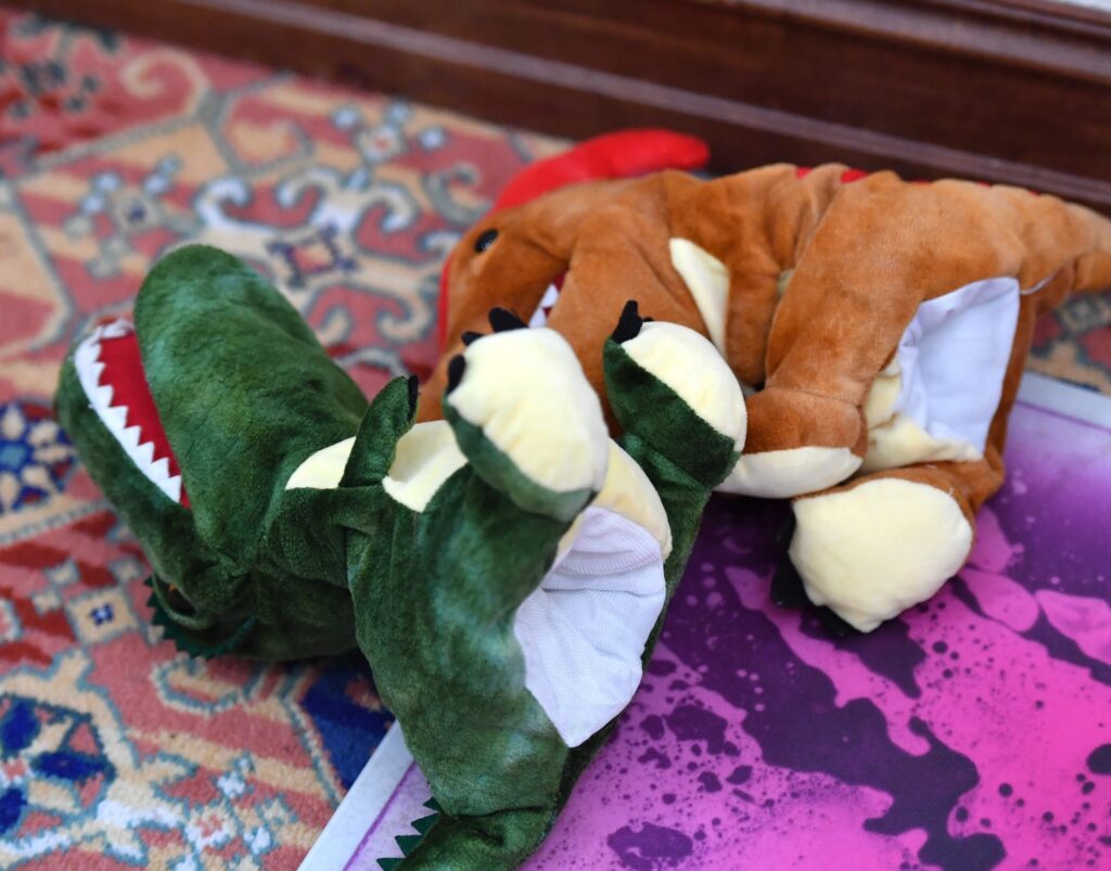 Toy