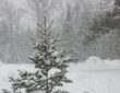 Snow, Weather