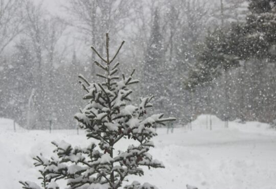 Snow, Weather