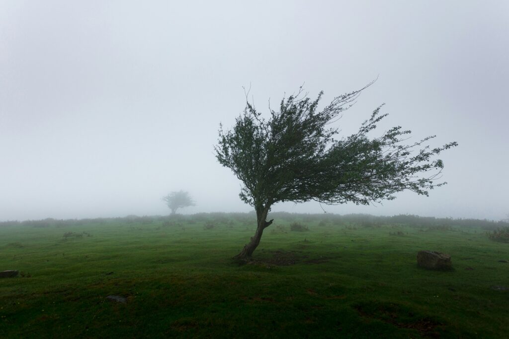 Wind, Weather
