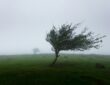 Wind, Weather