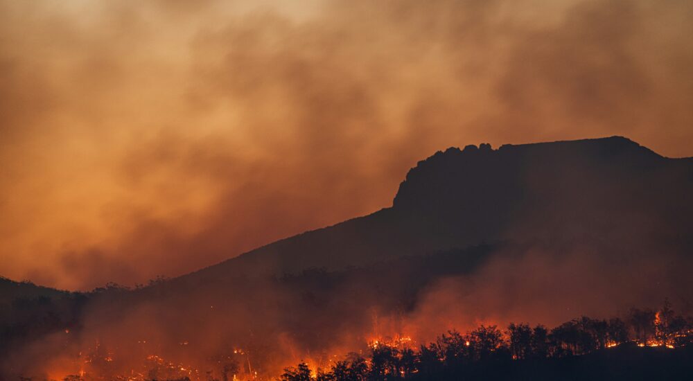 Wildfire