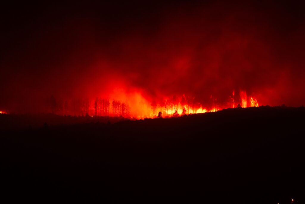 Wildfire