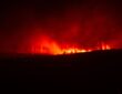 Wildfire