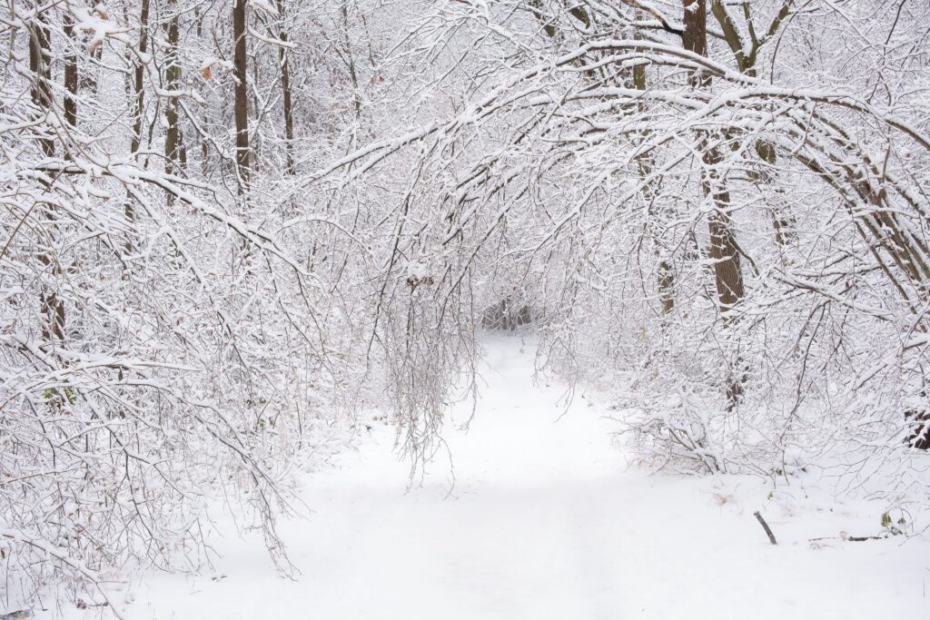 Snow