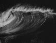Tsunami