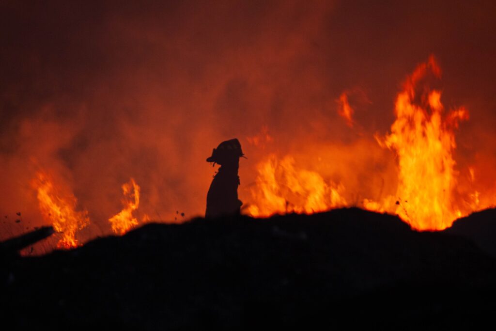 Wildfire