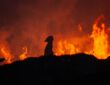 Wildfire