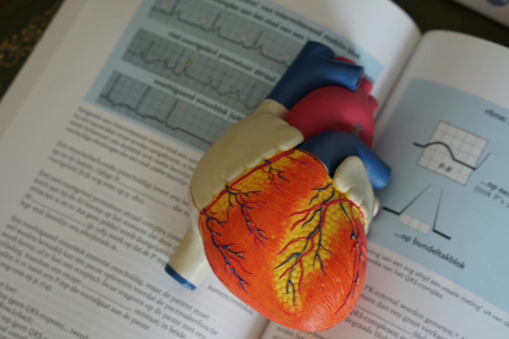 Heart, Medical, Health