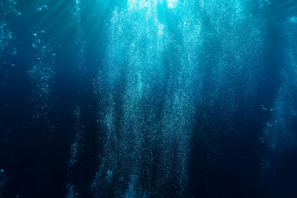 Sea