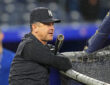 New York Yankees