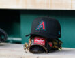 Arizona Diamondbacks