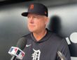 Detroit Tigers