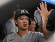 Anthony Volpe, New York Yankees