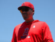 Los Angeles Angels