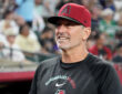 Arizona Diamondbacks