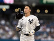 Anthony Volpe, New York Yankees