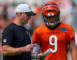Cincinnati Bengals