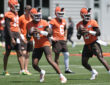 Cleveland Browns