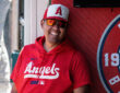 Los Angeles Angels