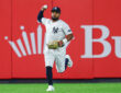 Heliot Ramos, New York Yankees
