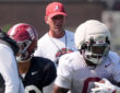 Alabama Crimson Tide