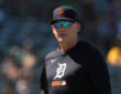 Detroit Tigers