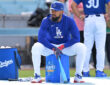 Teoscar Hernandez, Los Angeles Dodgers