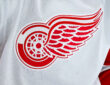 Detroit Red Wings, NHL