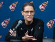 Stephanie White, Indiana Fever