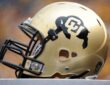 Colorado Buffaloes