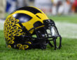 Michigan Wolverines