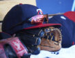 Minnesota Twins