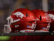 Arkansas Razorbacks